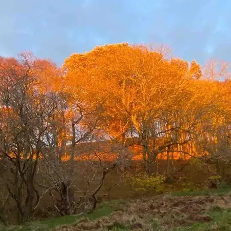 Kekaroka Lodge, Cumbria Brampton